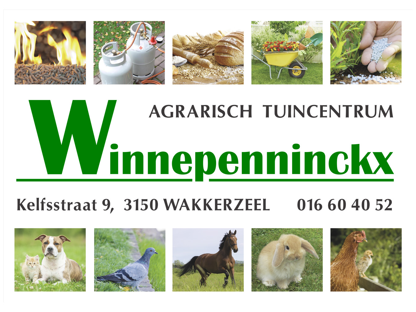winnepenninckx