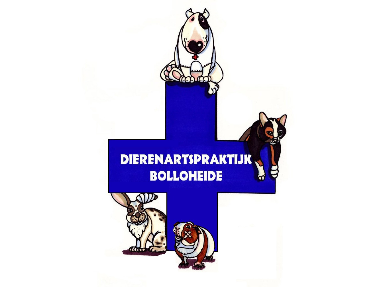 bolloheide
